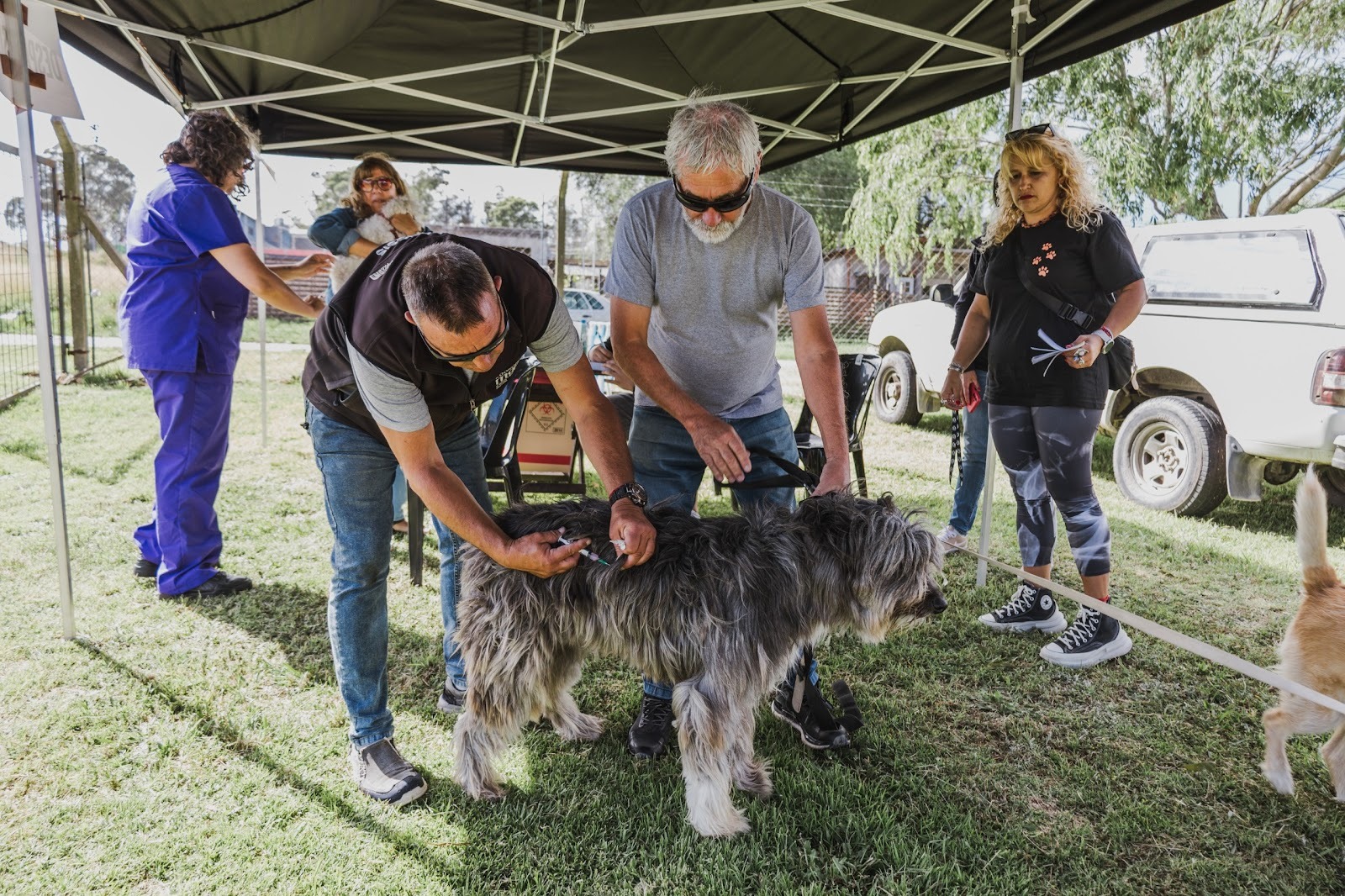 Casi 25.000 animales asistidos por Zoonosis: el balance de 2025.