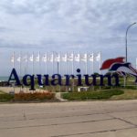 El Aquarium de Mar del Plata: cierre, abandono y un conflicto ambiental que no termina