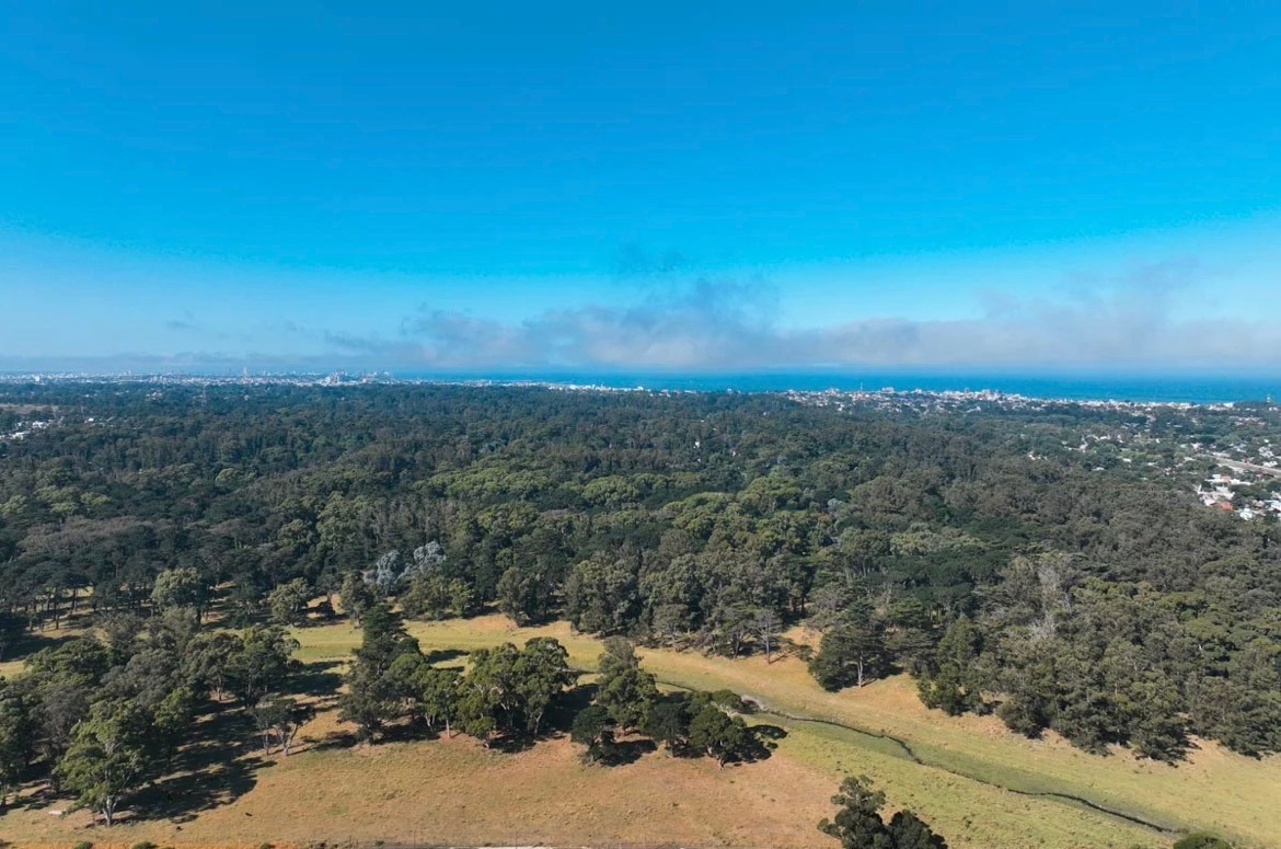 “No es progreso, es degradación”: crece el rechazo vecinal a los megaproyectos inmobiliarios.