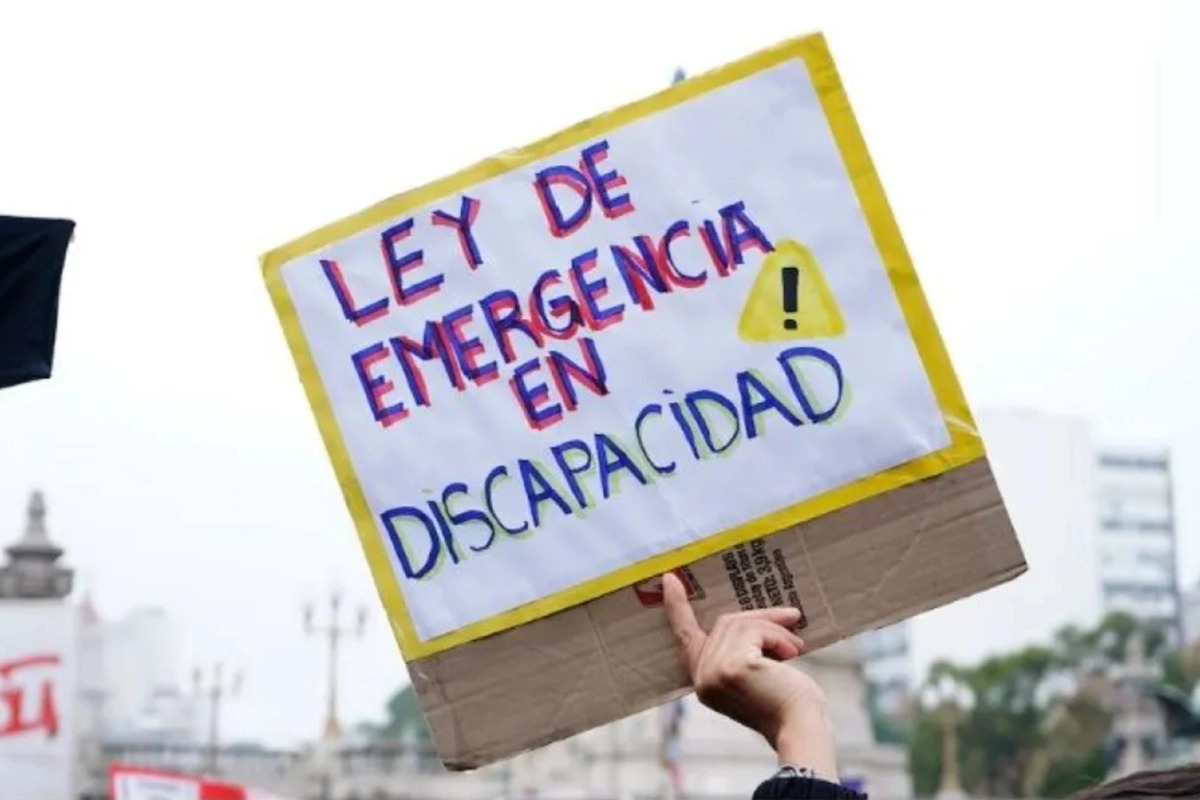 La Justicia intimó al Gobierno a cumplir la Ley de Emergencia en Discapacidad.