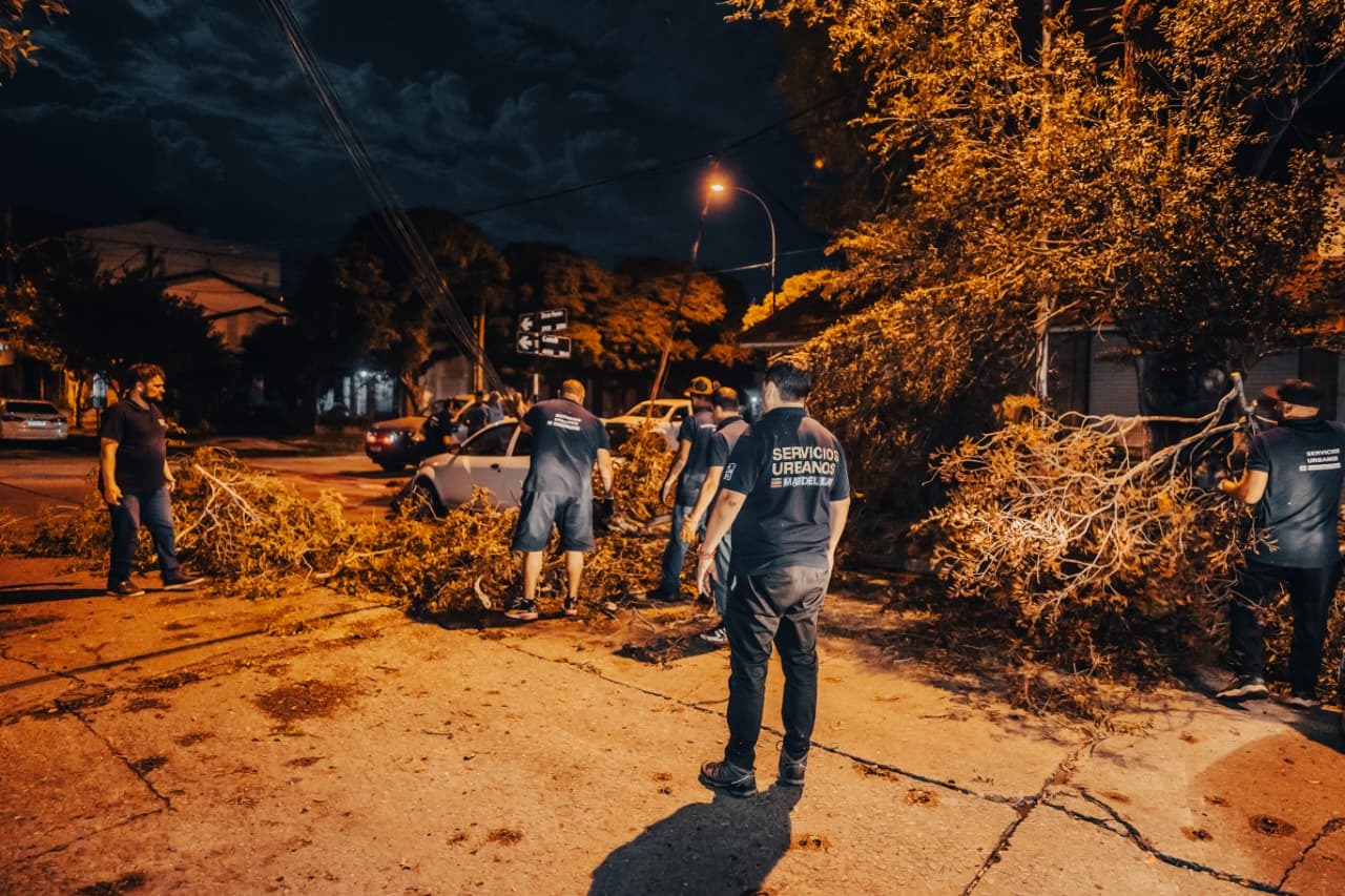 Mar del Plata otra vez víctima de temporales y vientos extremos.