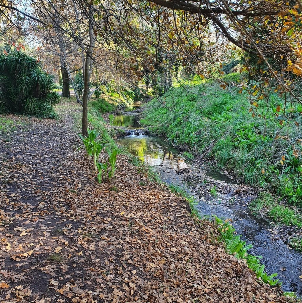 Contaminación cloacal en Las Prunas: un problema persistente en Mar del Plata.