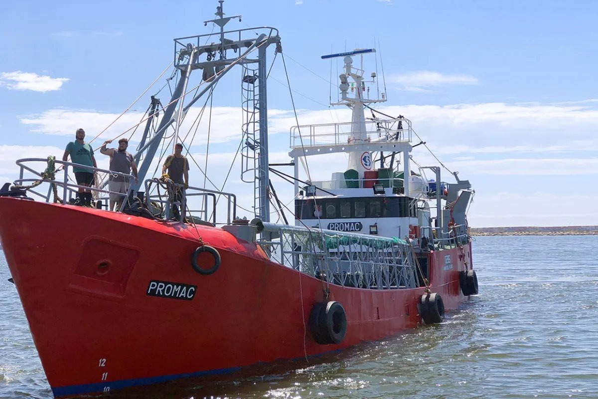 Conflicto salarial en el puerto: demoras en zarpadas y tensión creciente en la flota fresquera.