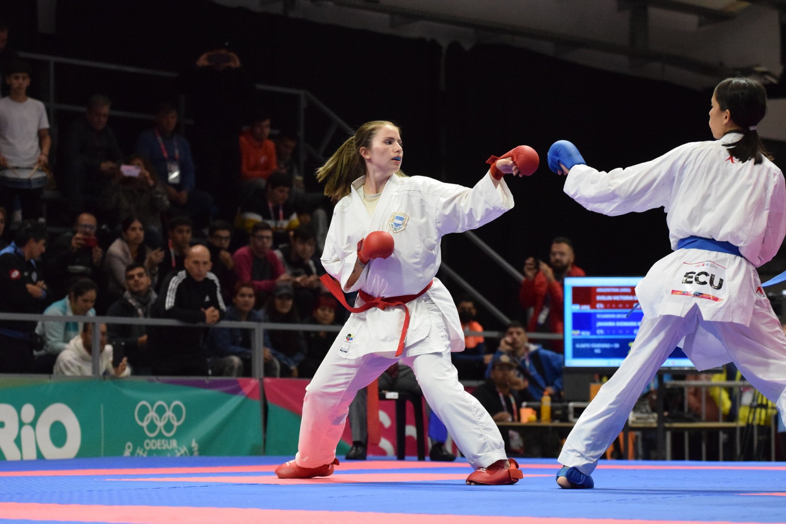 Mar del Plata será sede de una gran competencia de artes marciales.