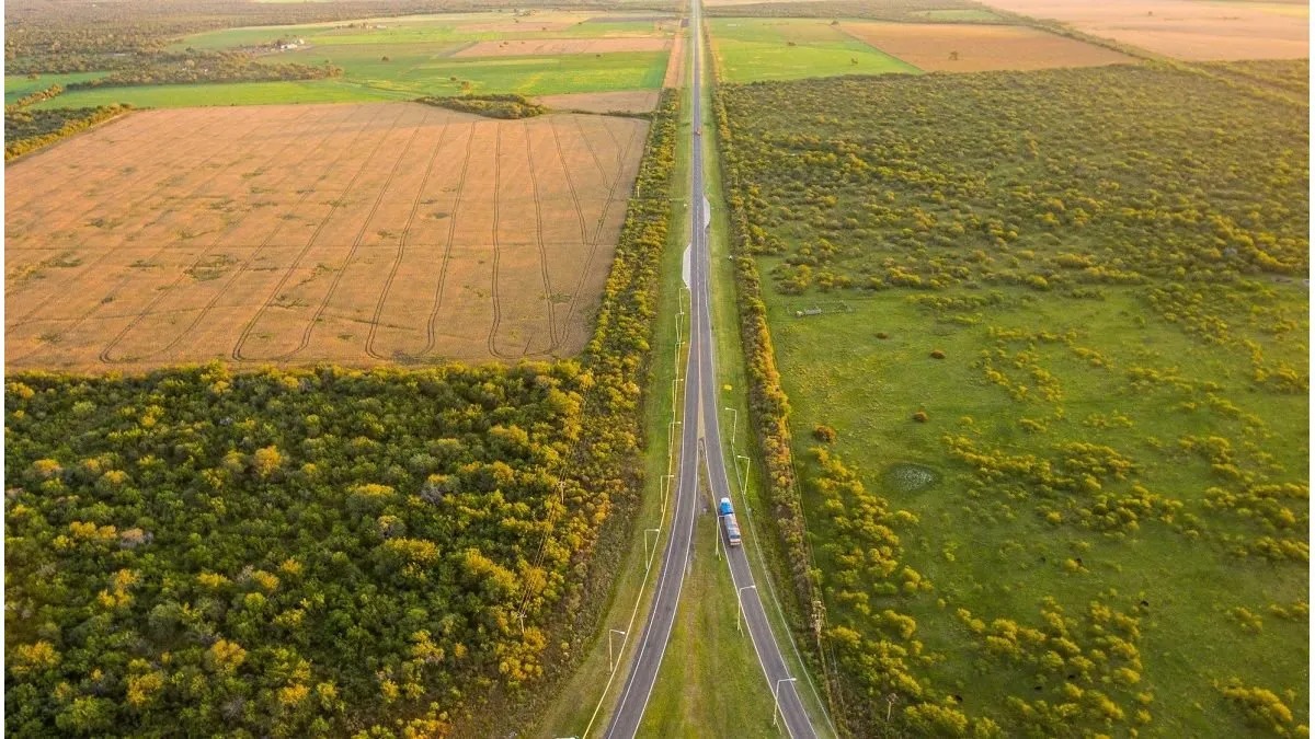 Ley de extranjerización: el 7,5% de las tierras rurales de General Pueyrredon ya son extranjeras.