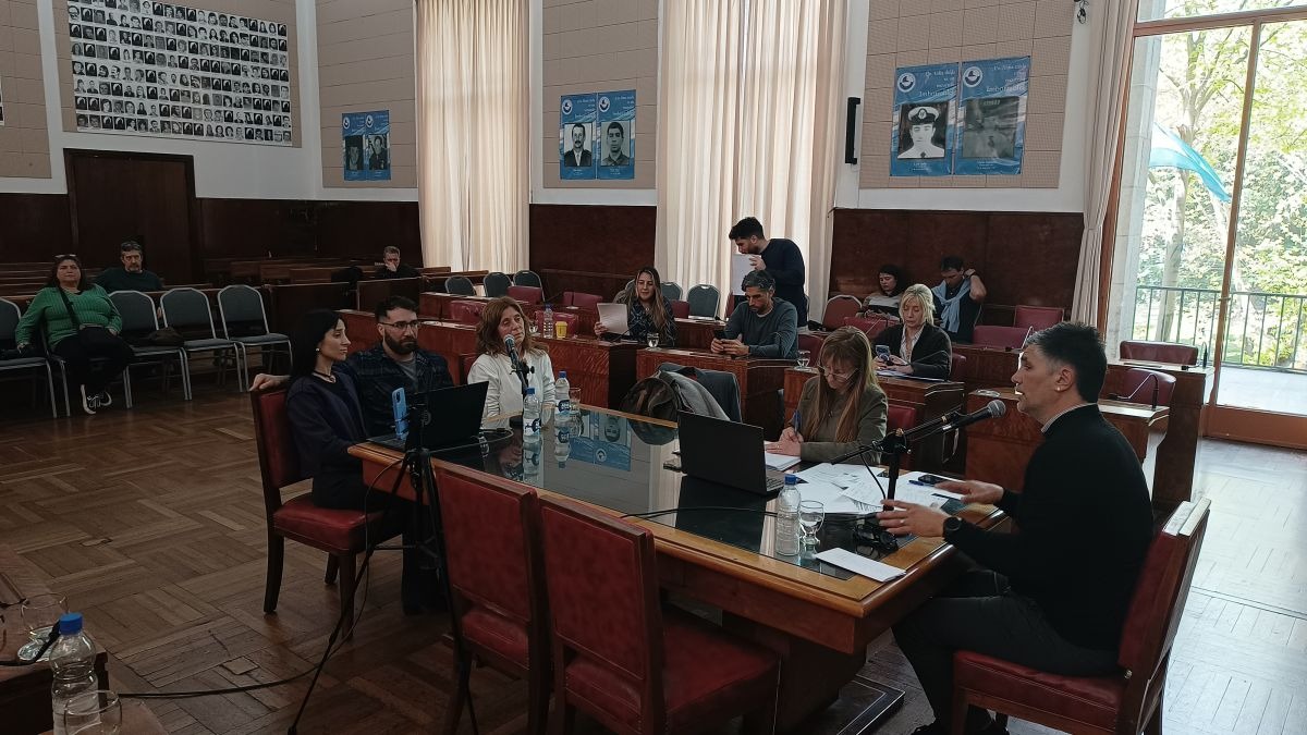 Preocupación en Mar del Plata: el HIGA ya registró 174 intentos de suicidio en 2026.