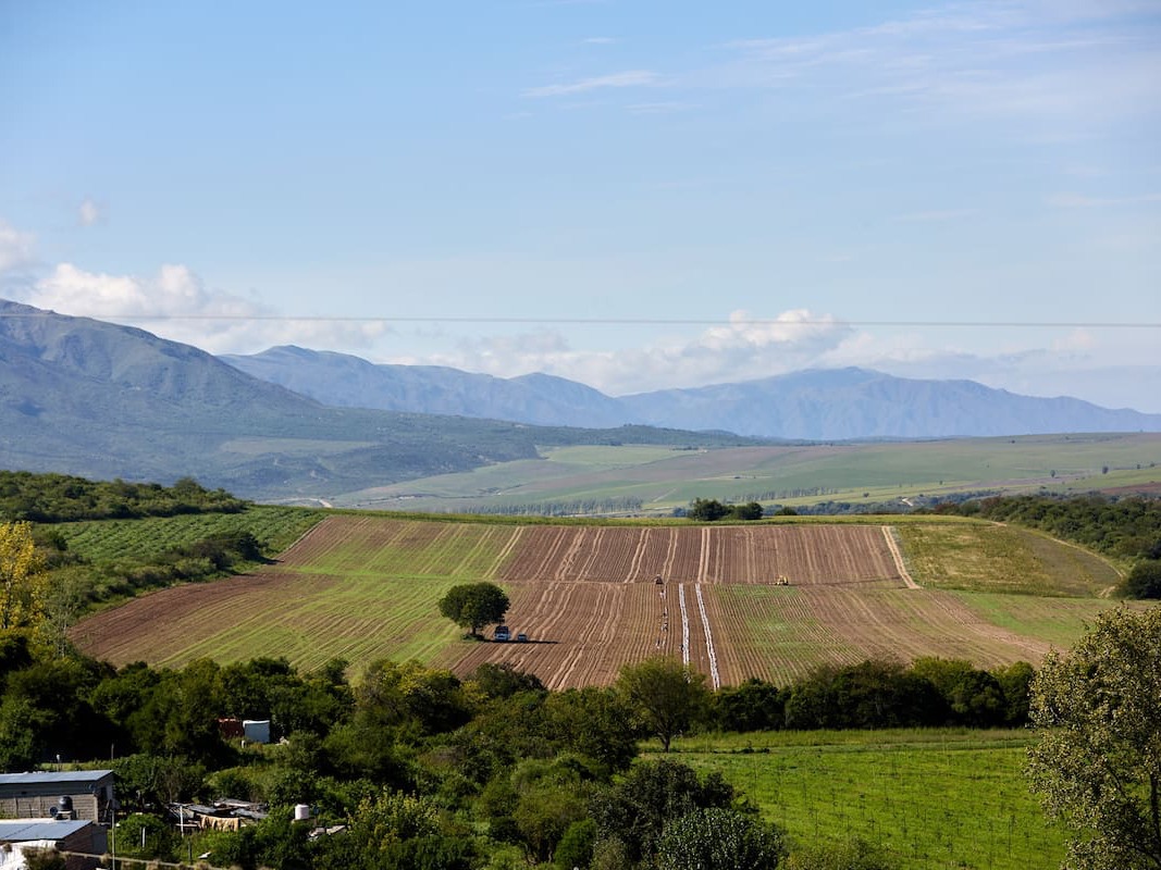 La Corte dio marcha atrás y volvió a poner límites a la venta de tierras a extranjeros.