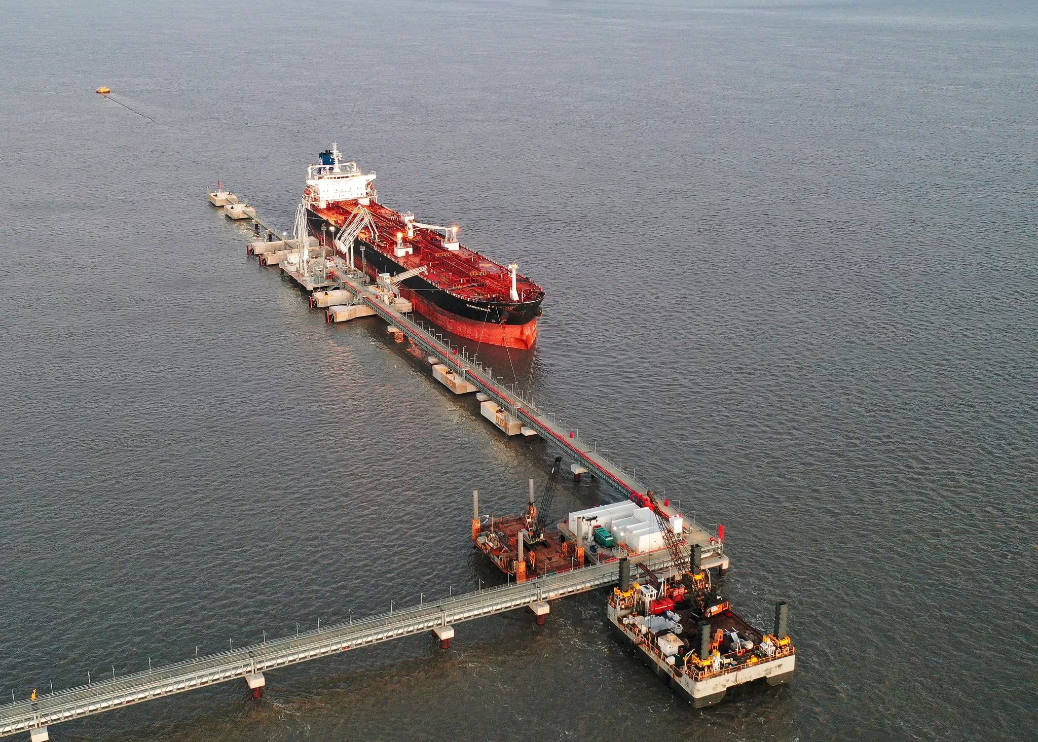 Las exportaciones del puerto de Mar del Plata se desplomaron un 80%